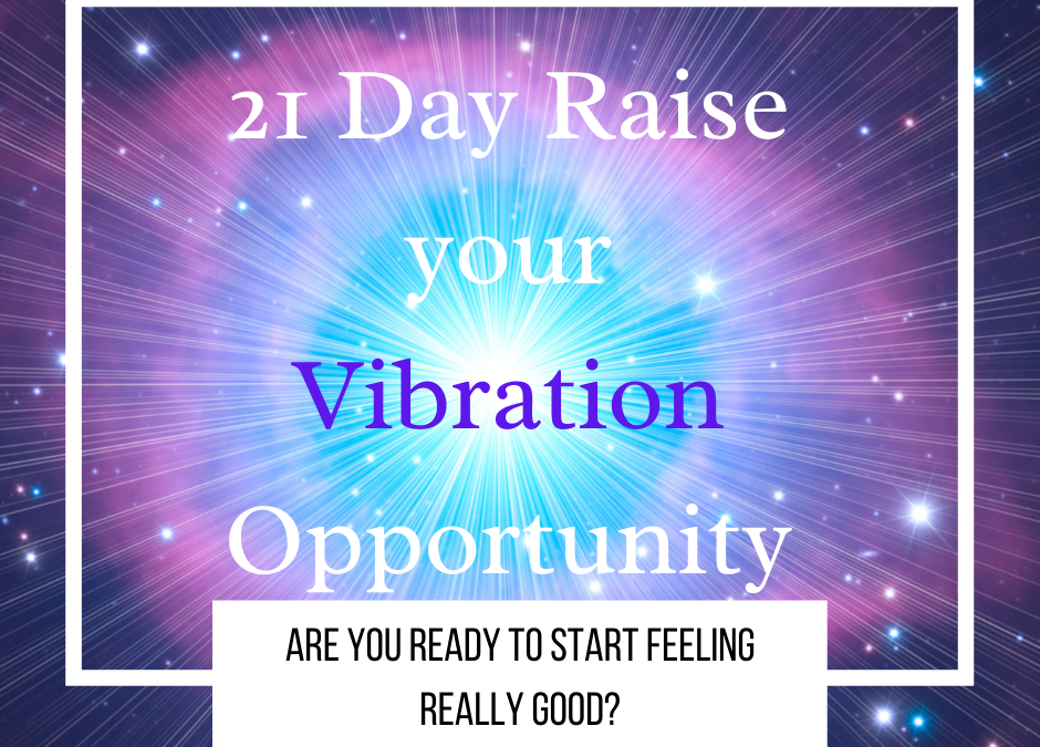 21 Day Raise Your Vibration Opportunity