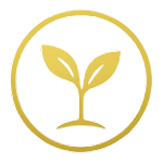 icon-2