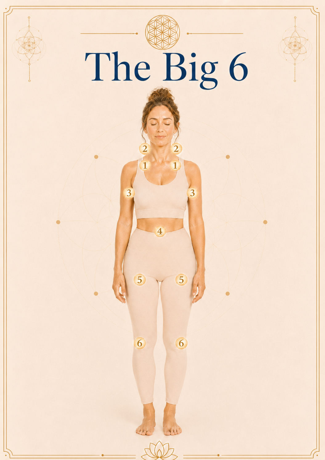 The Big 6 overview — six lymph points marked on the body